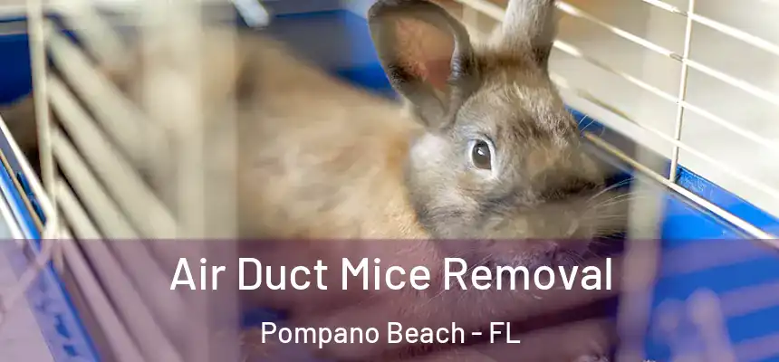 Air Duct Mice Removal Pompano Beach - FL