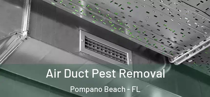 Air Duct Pest Removal Pompano Beach - FL
