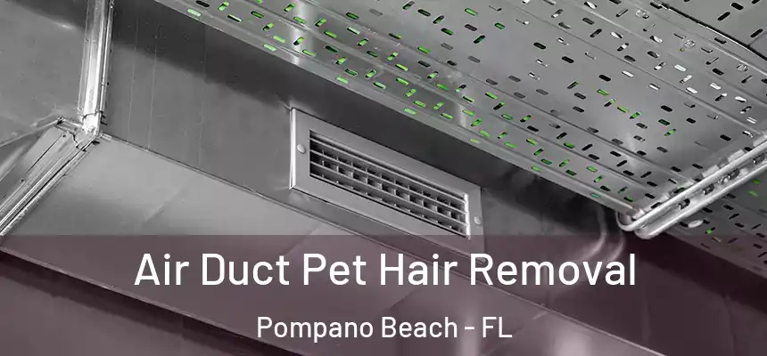 Air Duct Pet Hair Removal Pompano Beach - FL