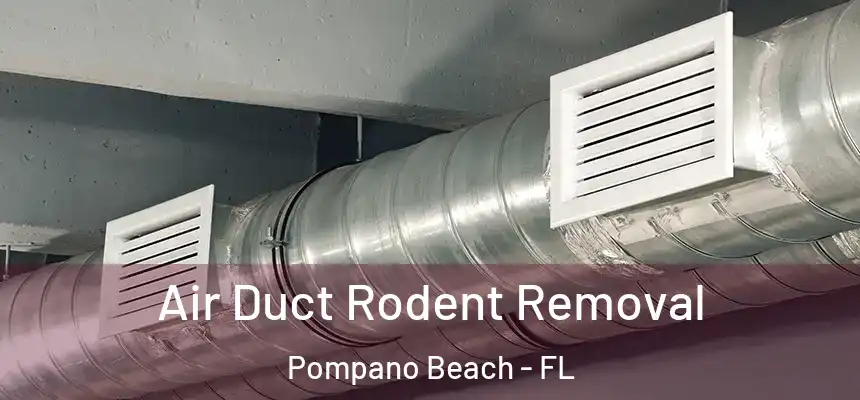 Air Duct Rodent Removal Pompano Beach - FL