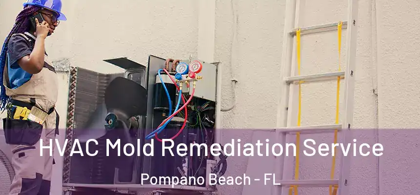 HVAC Mold Remediation Service Pompano Beach - FL