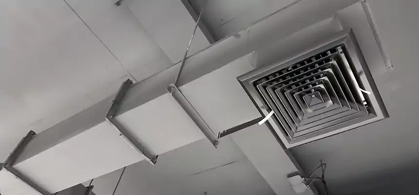 Our Rodent Droppings In Vents Services in Pompano Beach, FL