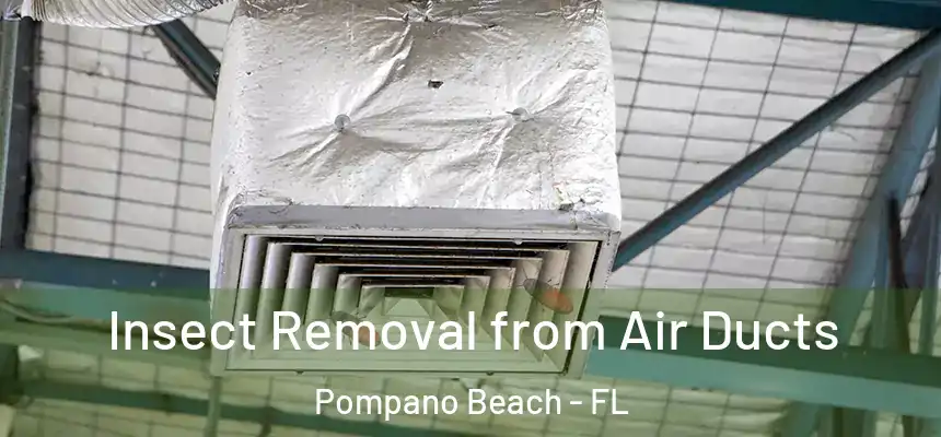 Insect Removal from Air Ducts Pompano Beach - FL