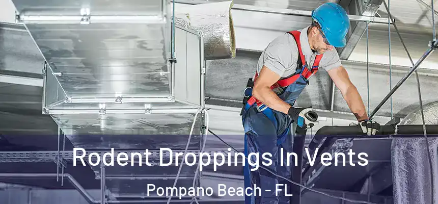 Rodent Droppings In Vents Pompano Beach - FL