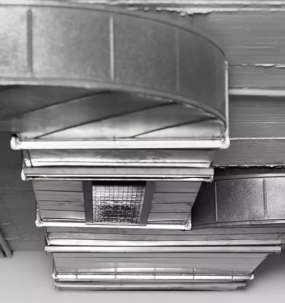 Professional Air Duct Pest Removal in Pompano Beach, FL