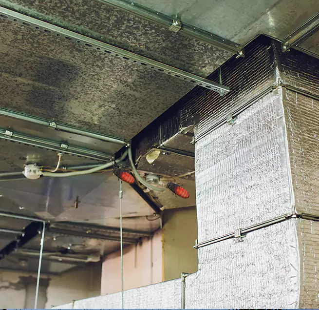 Why Homeowners & Businesses Trust Us in Pompano Beach, FL?