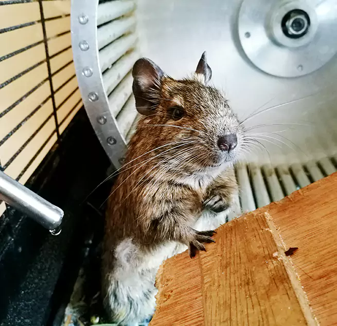 Why Homeowners & Businesses Trust Us Pompano Beach, FL?